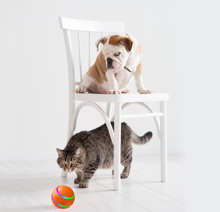 USB Rechargeable Automatic self rotating pets toy Ball