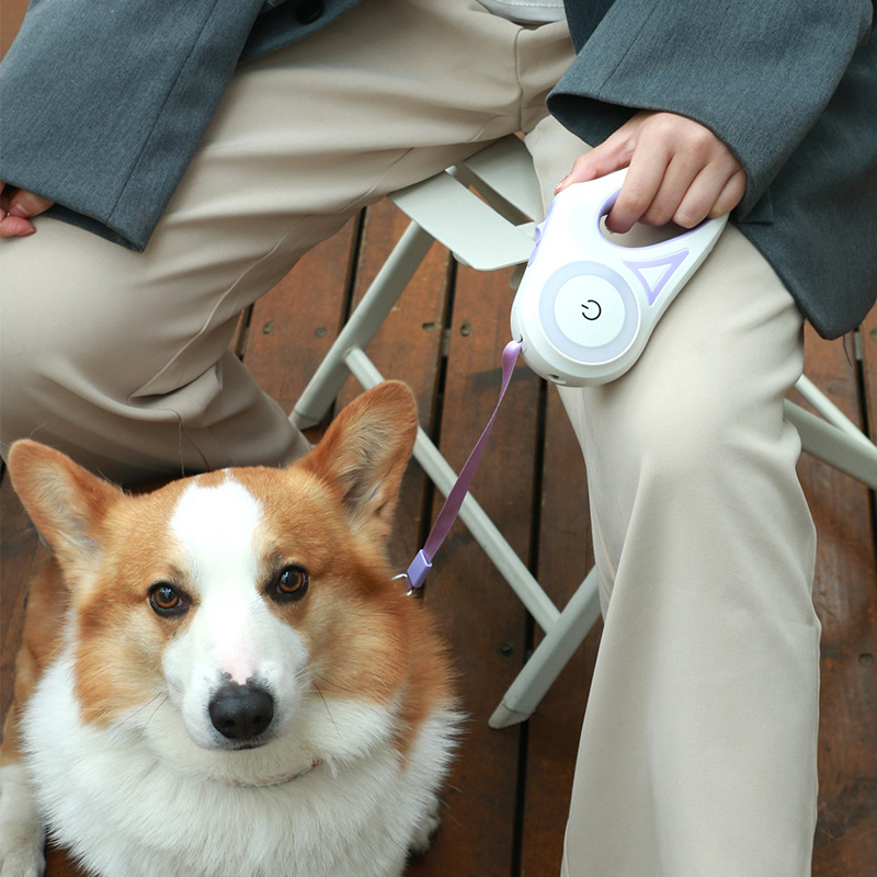 Automatic Spotlight Dog Leash Retractable Leash And Collar